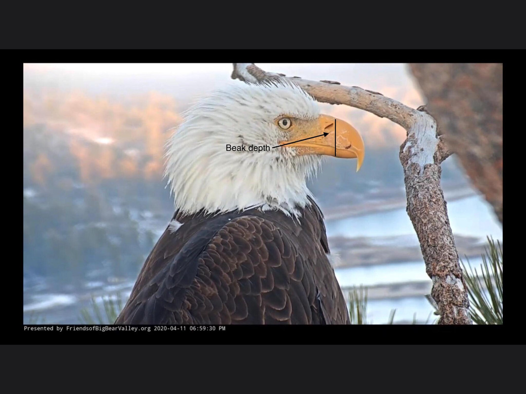 undefined - Imgur (1)