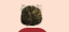 Screenshot-2025-07-10-2-41-44-PM.png