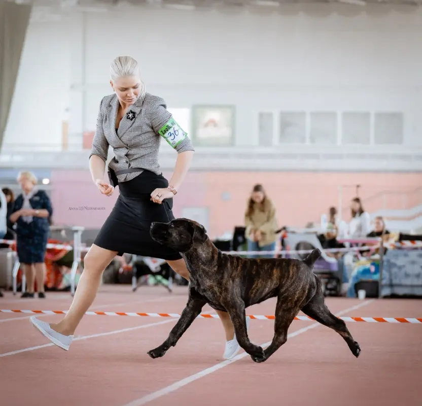 2cSXdDJcvpOK9lD-zqJUIbc_pwdZm8DPjr92443hPHzqFNamRk9MHTrcxmextzAHjfz3sgjOjhBxeO7v0pnPuCG_