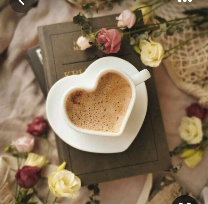 Screenshot_20230517_003612_Pinterest