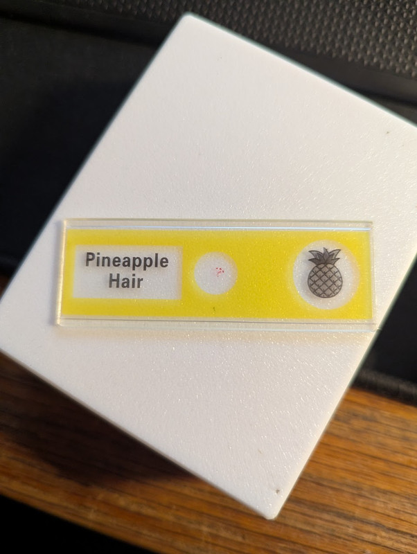 PXL 20251209 203641163