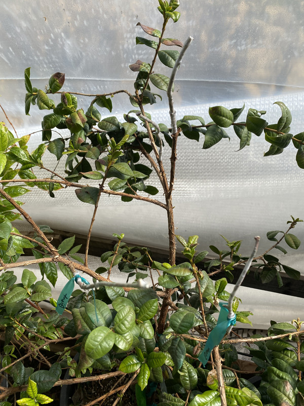 8F702375-A491-4CEE-B4F1-8ED85CBC2290