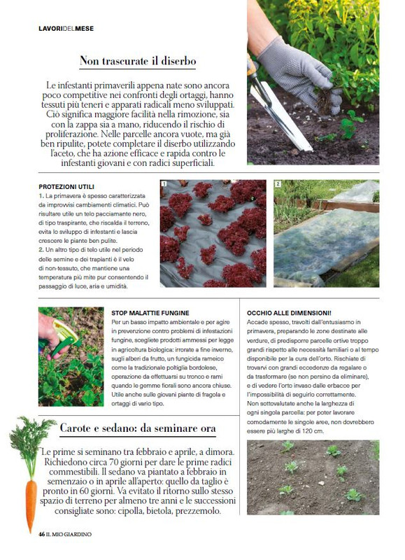 il mio Giar Feb-Mar 2025 (5)