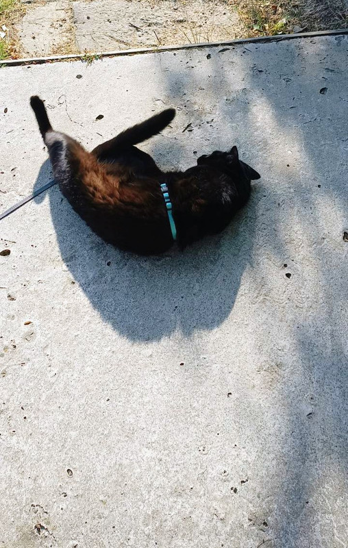 IMG_20250910_174317~2