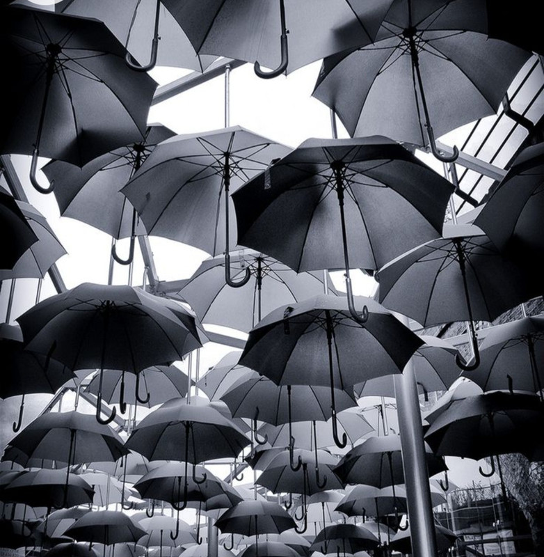 Screenshot_20221224_234206_Chrome