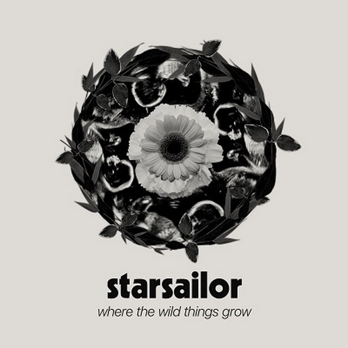 Starsailor - Where The Wild Things Grow (2024) [FLAC]