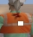 60.png
