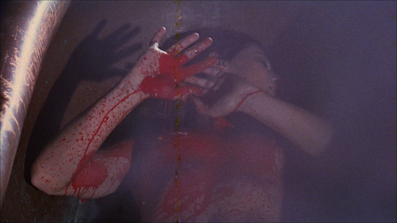 vlcsnap-2022-11-13-11h08m51s660