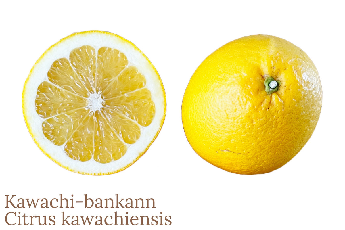 ACFF94D2-2028-444F-B71D-E585F549CDDD