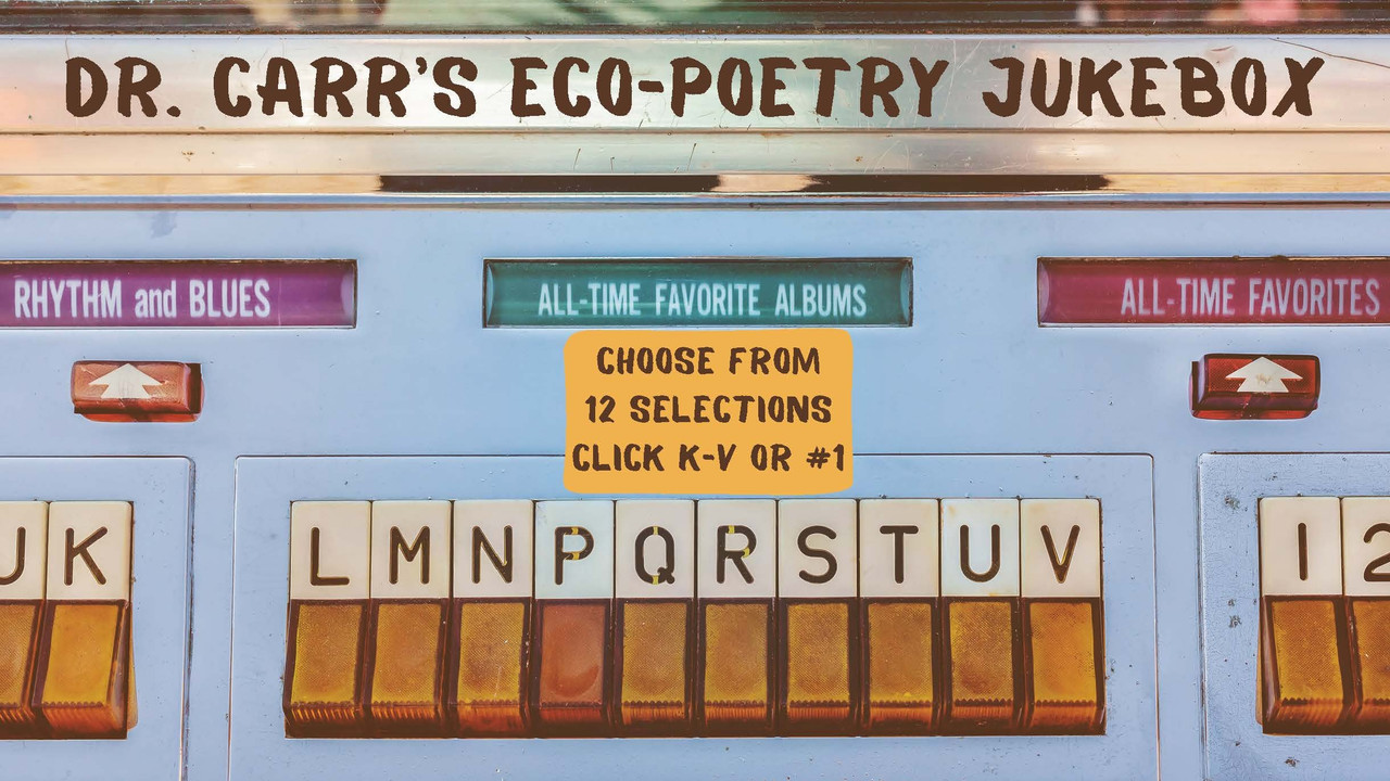 Screenshot of Ecopoetry Jukebox