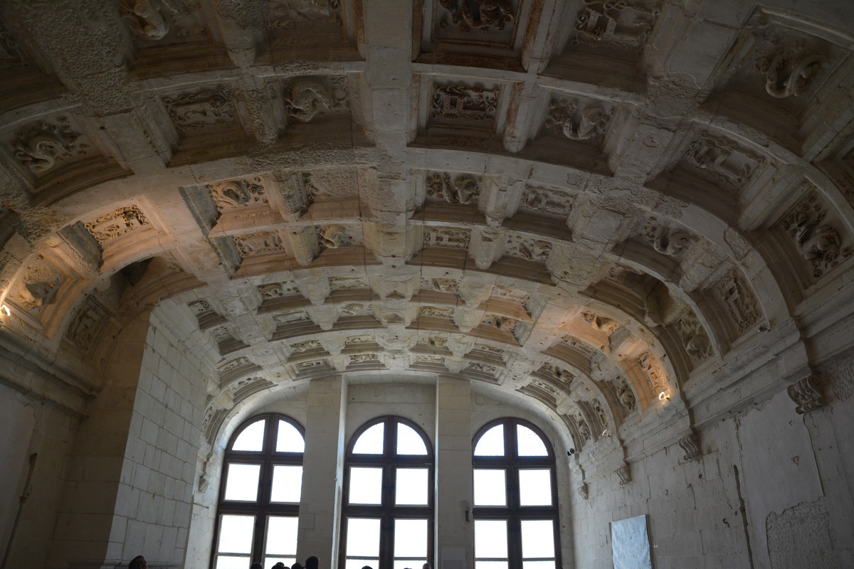 08.17 - DSC_8107 (Ater)