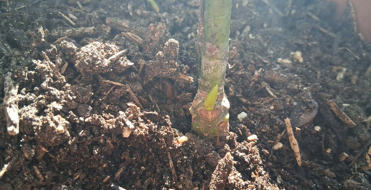 8c8e8e82 4f86 40db 9ff6 644cfa324c27