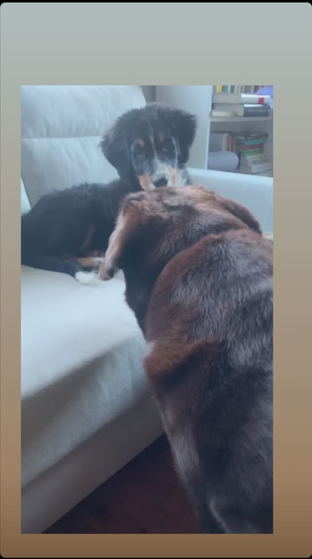 Screenshot_20210112_160948