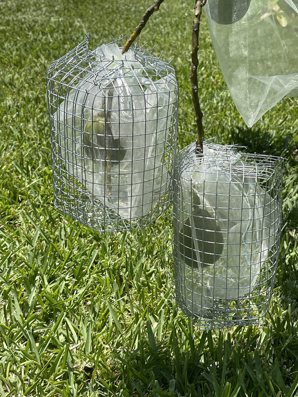 71018866117 AC10DABB A4A8 4695 962C 1D1BE20D32DC