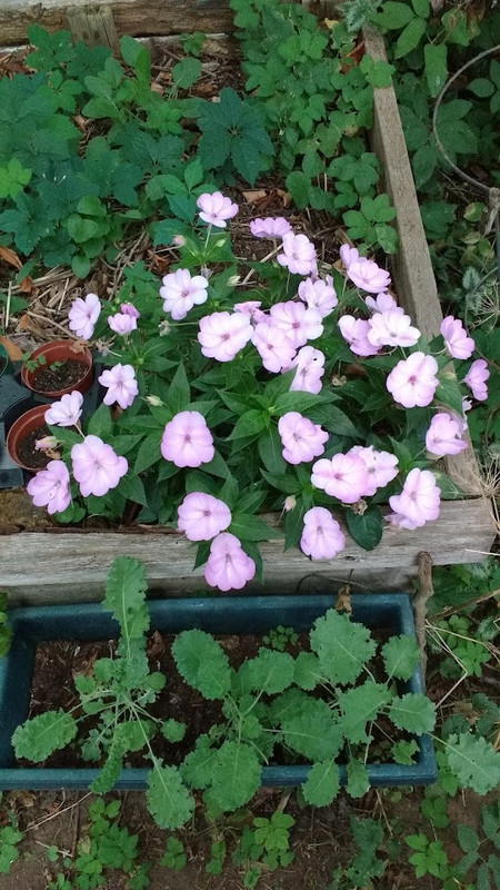 IMG_20250907_165112003