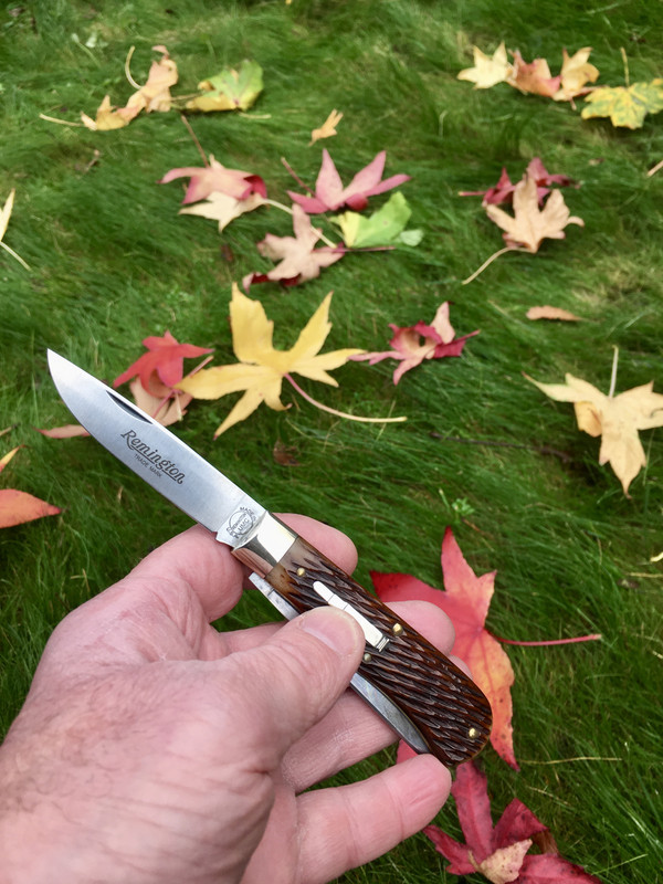 8337FB6A-E23D-4074-8706-522E0ACBB999