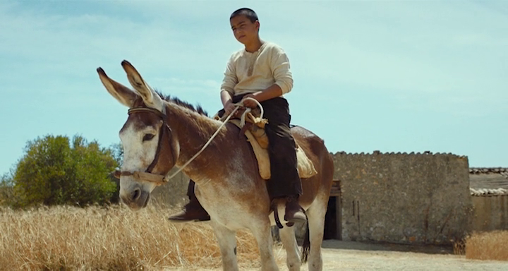 vlcsnap-2025-04-22-10h40m19s169