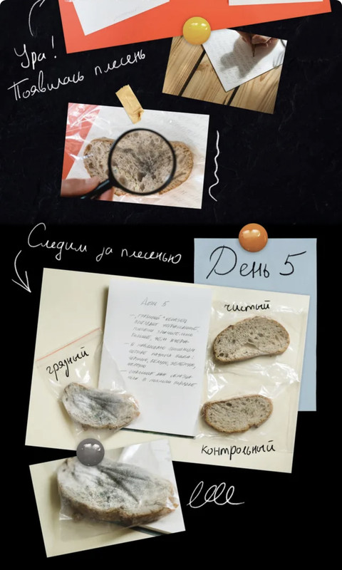 F2FE039D-311D-4589-B43F-6D0460151792