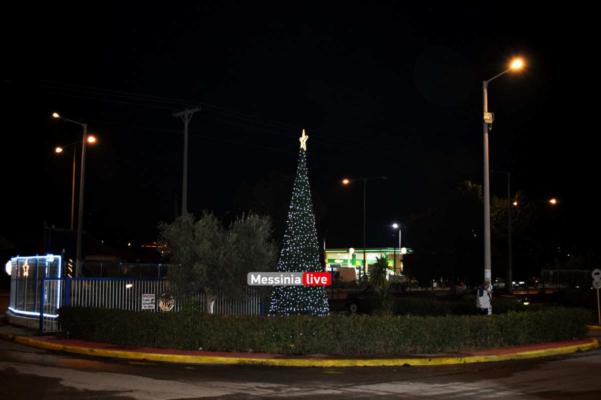 ΔΕΝΤΡΟ ΔΙΟΚΛΗΣDSC_0259