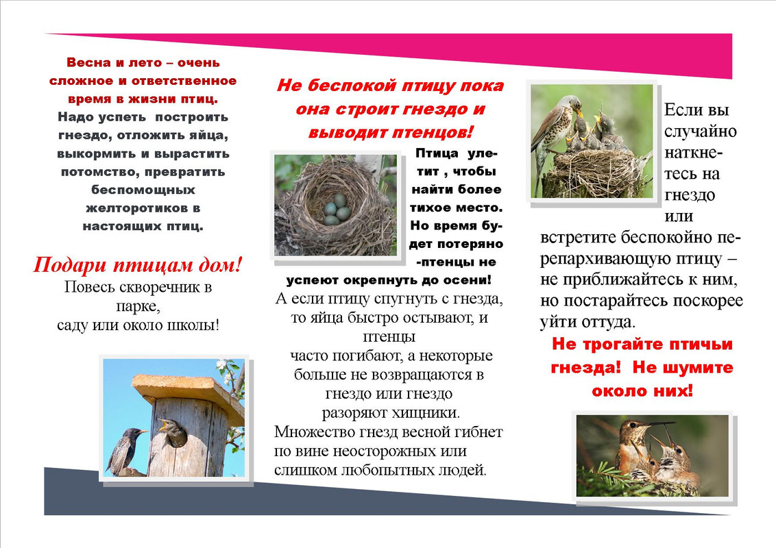 Публикация2