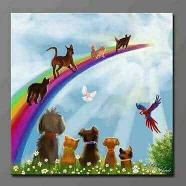 [Image: 36826294-2028337747236947-5975393484150931456-n.jpg]