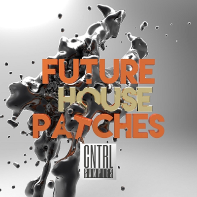 VA - Future House In Struggling (2018)