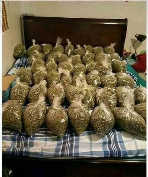 9a58fe4a-c45f-4a8f-8931-24a245be93bf