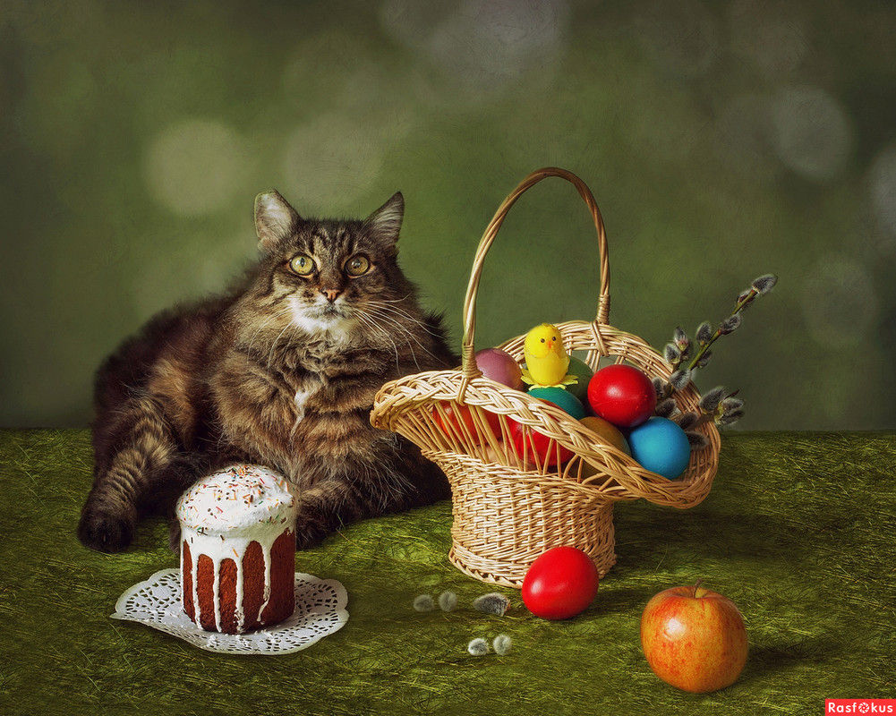 8341cc0ca7020d62bd0e3f479bc0e11f