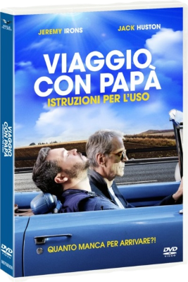Viaggio con papà: Istruzioni per l'uso (2019) DVD5 COMPRESSO ITA