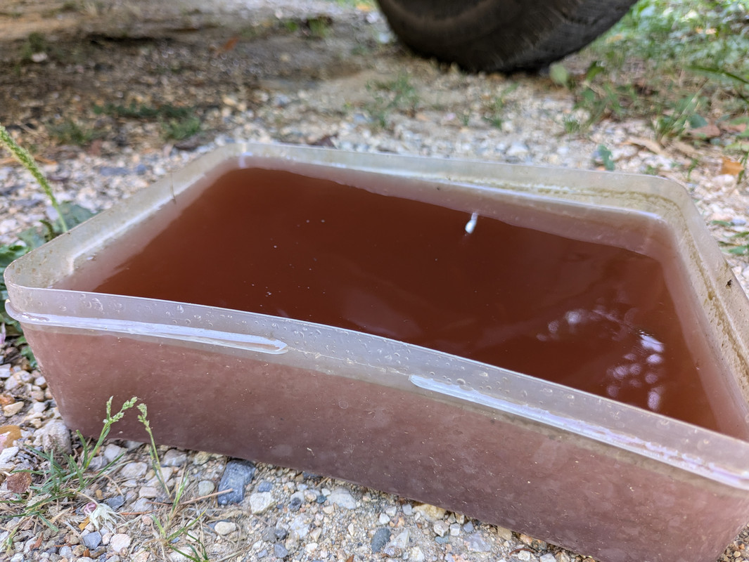 PXL_20240801_080501066