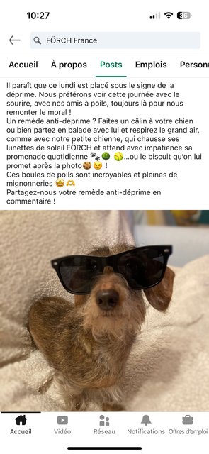 [Image: IMG-9495.png]