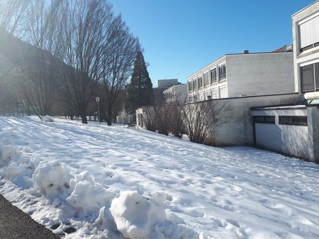 20190204_113923