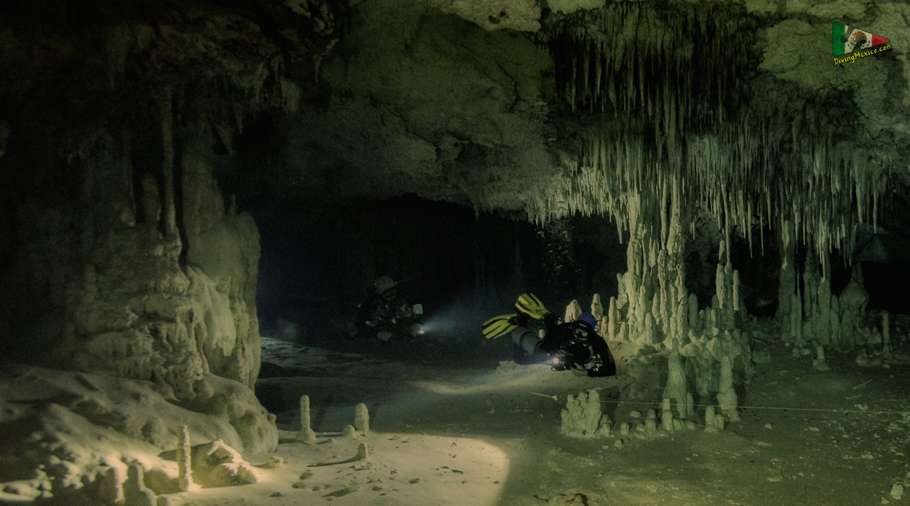 490075106 3896244037303953 3696781623174579077 n