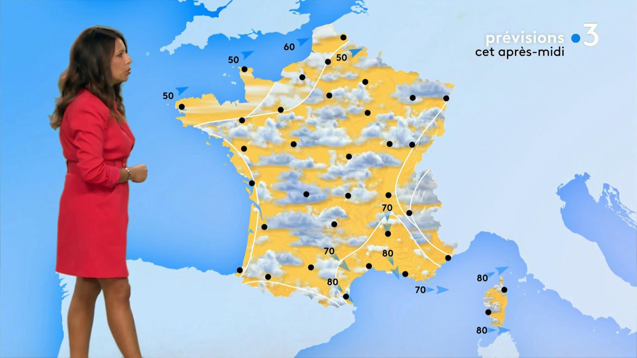 Myriam Seurat 2020-07-03.mp4_snapshot_00.22_[2020.08.12_03.20.51]