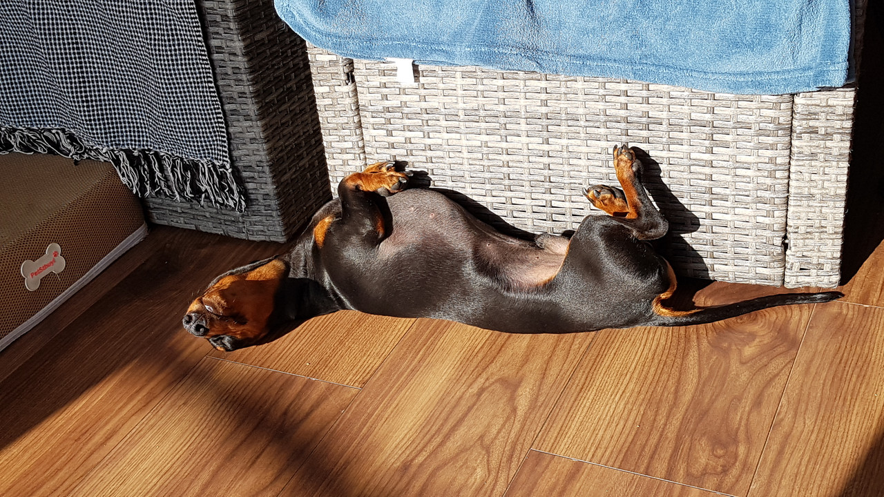 [Image: 20201106-135506.jpg]