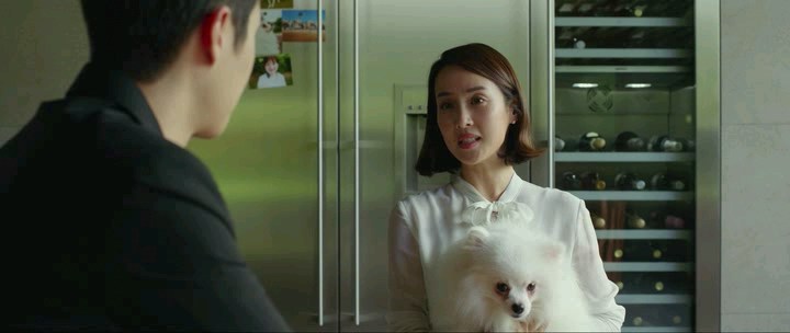 Parasite.2019.iTALiAN.BDRiP.AC3.XviD.avi_snapshot_00.14.43.633