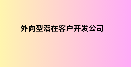 外向型潜在客户开发公司