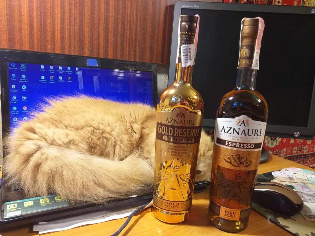 452860585_8147610288615808_2255933260437910107_n