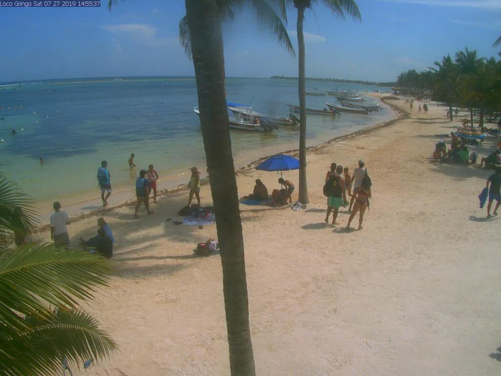 Algas en las playas de Riviera Maya (Sargazo) - Foro Riviera Maya y Caribe Mexicano