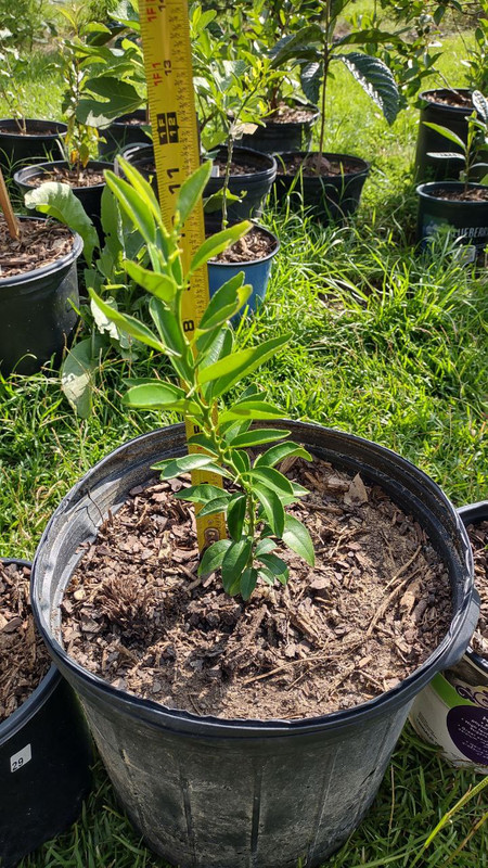 photo_2025-07-23_09-30-08 (4)