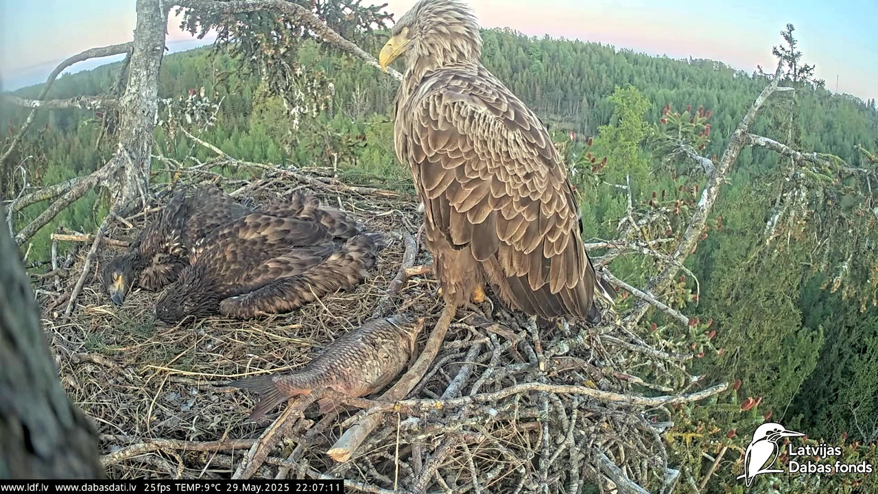 vlcsnap-2025-05-30-04h49m43s508