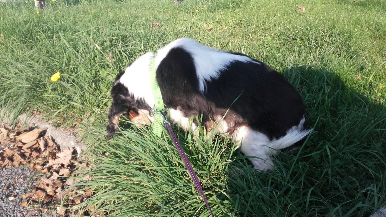 AABB1BD0-6CAD-4EB7-A986-C36B2F05E257