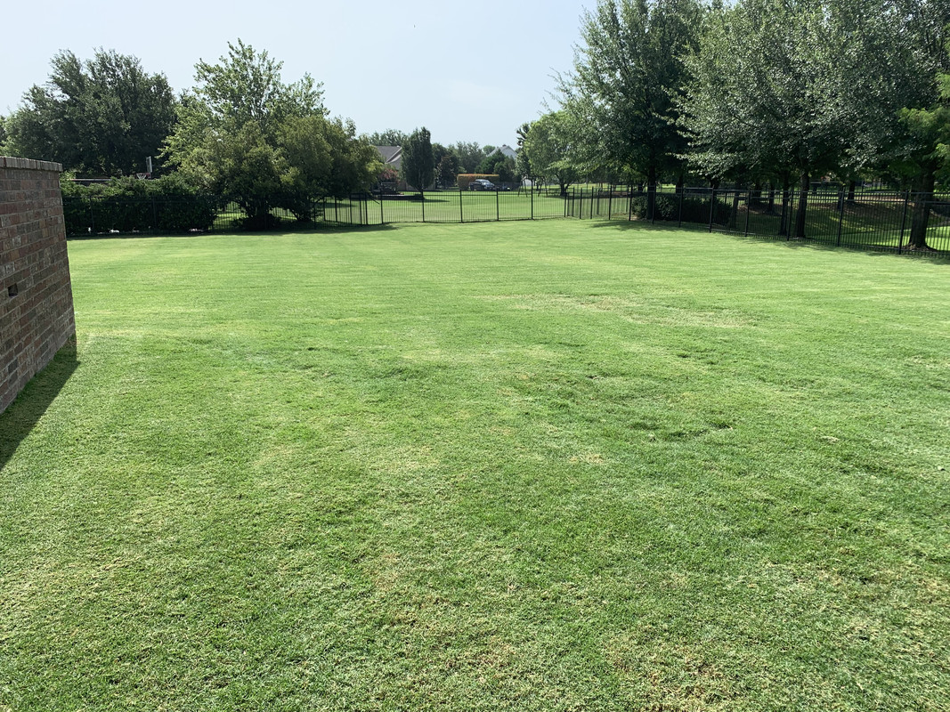 C1E5A2FB-C0E0-4F80-96CB-2CFB5DFAA252