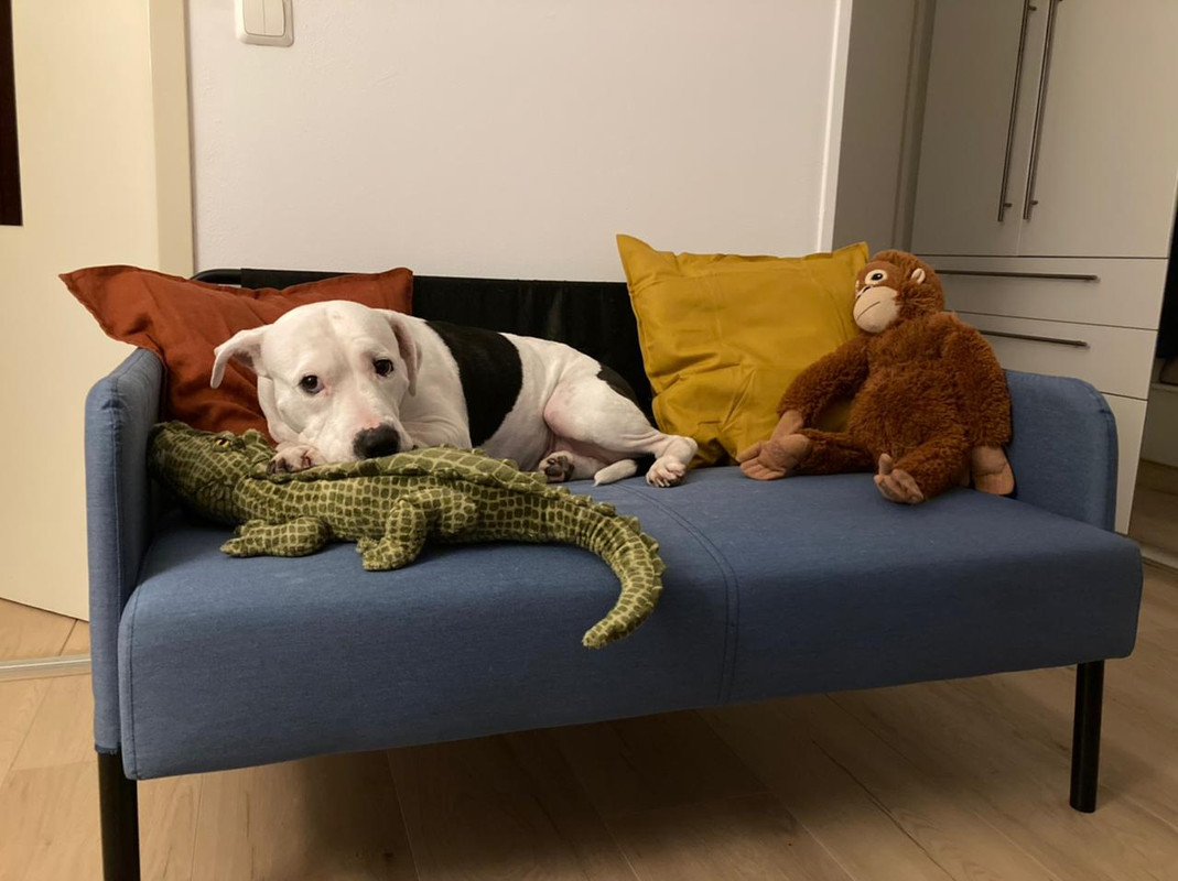 EDAFE4DF-392A-4D76-A344-DC47222B09E8