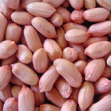 West-Africa-Benin-Raw-Red-Skin-Peanut-Kernel