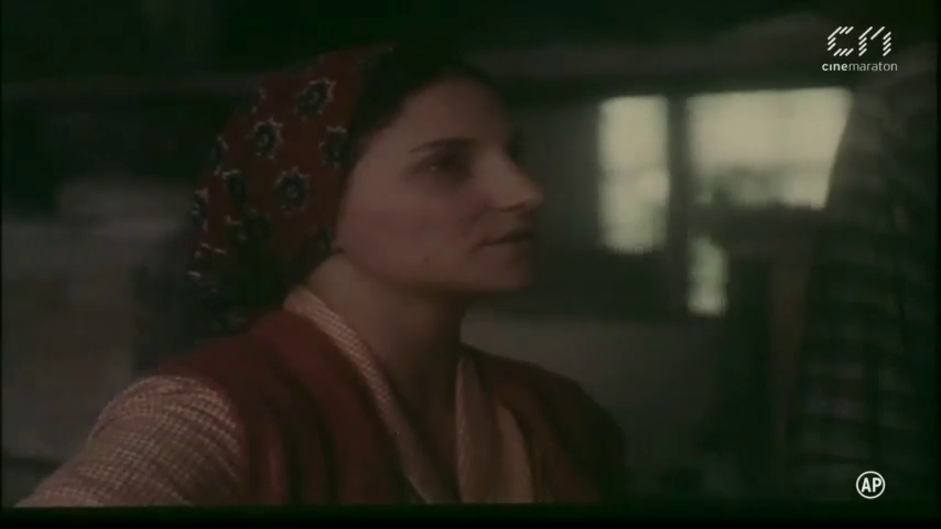 Umbrele Soarelui 1986 WEB DL ExtremlymTorrents