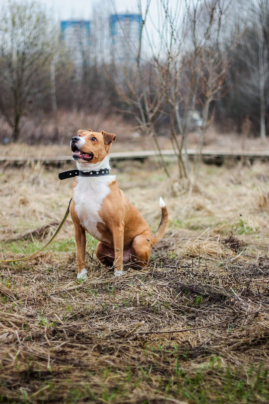 без имени-1214