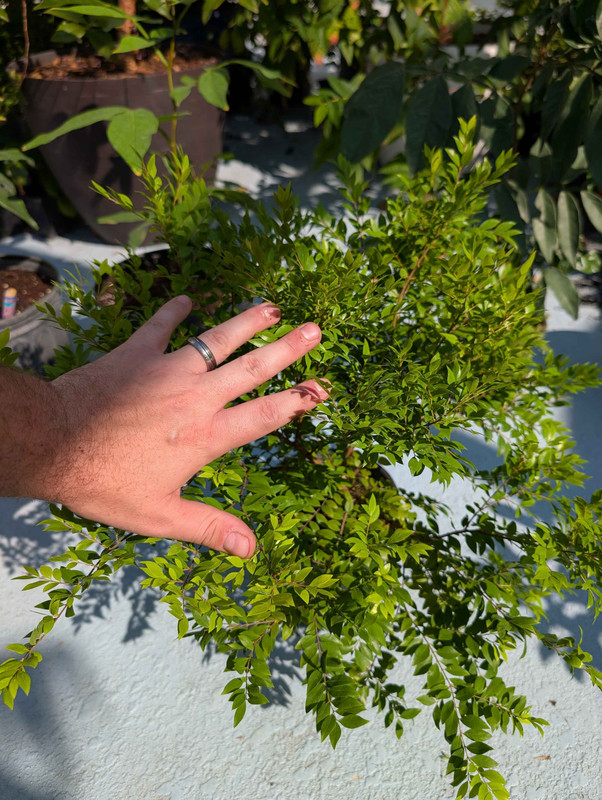 PXL 20251118 181816724