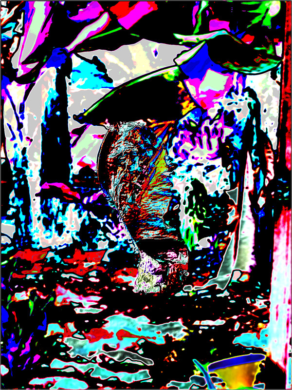 F. banane kaléïdoscope 5265