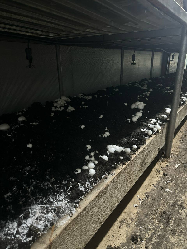 photo_2024-03-16_19-26-12